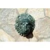Lion Head 14" High Brass Medallion Wall Fountain