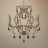 Allegri Duchess 28" Wide Champagne Gold 8-Light Chandelier -Golden Lighting Shop allegri duchess 28 inch wide champagne gold 8 light chandelier 22w47cropped